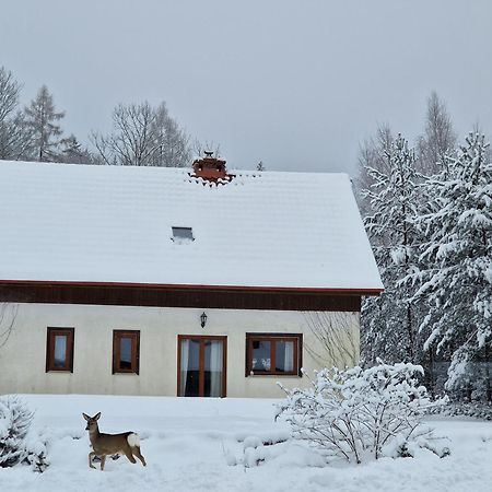 Dom Na Pstraznicy Villa Kudowa-Zdroj Bagian luar foto