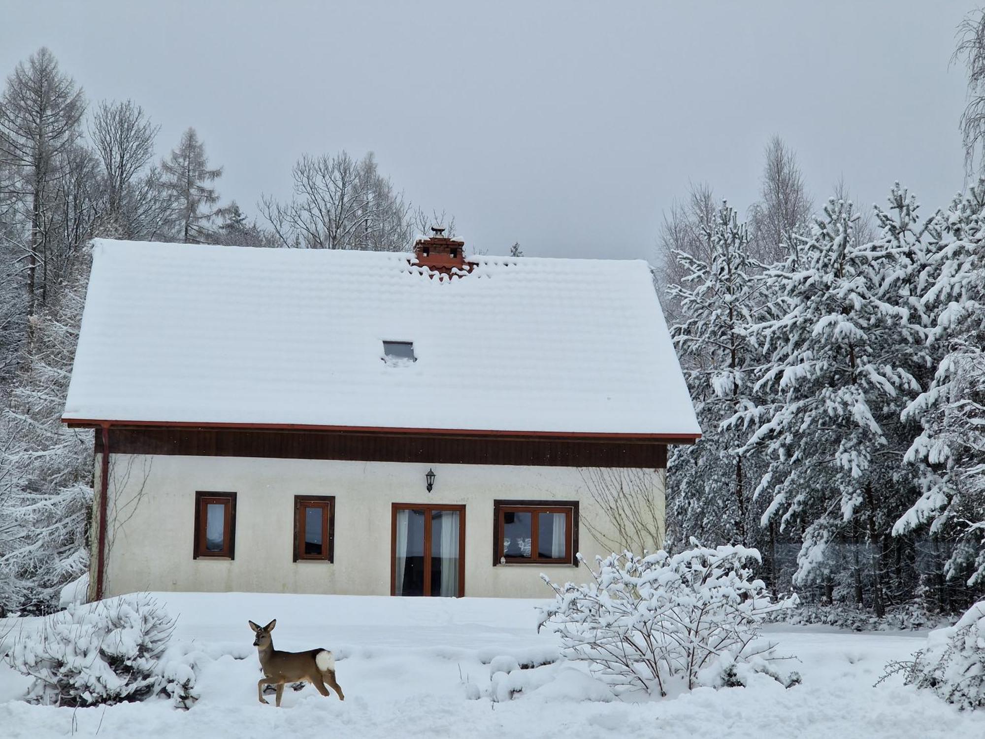 Dom Na Pstraznicy Villa Kudowa-Zdroj Bagian luar foto