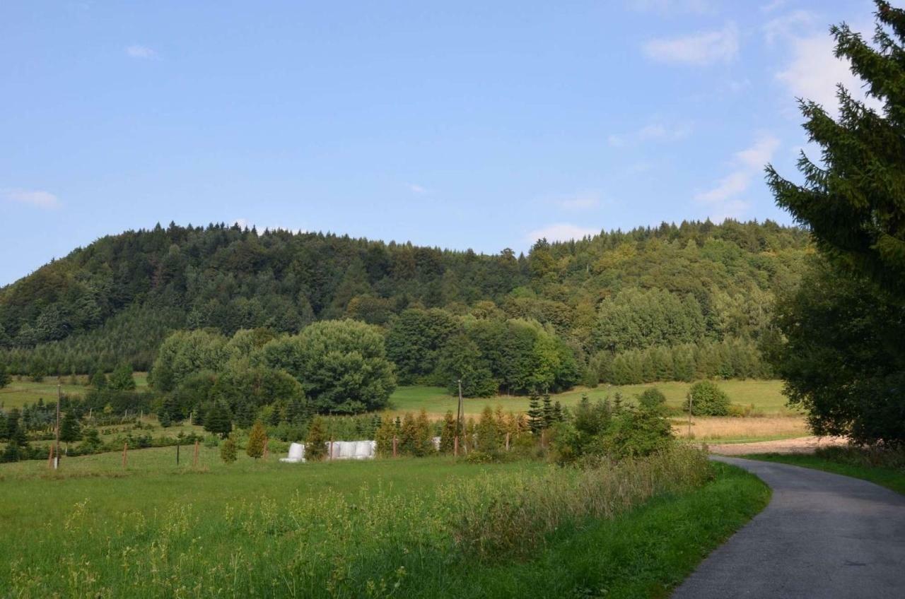 Dom Na Pstraznicy Villa Kudowa-Zdroj Bagian luar foto